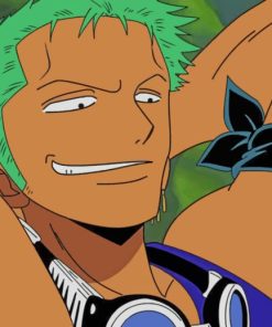 Roronoa Zoro Character Diamond Painting