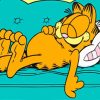 Sleepy Garfield The Cat Diamond Painting