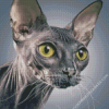 Sphynx Cat Diamond Painting