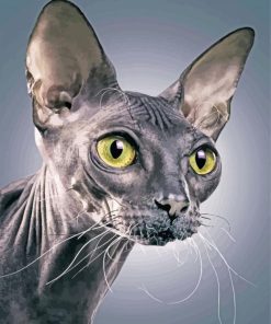 Sphynx Cat Diamond Painting