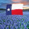 Texas Flag Bluebonnets Diamond Painting