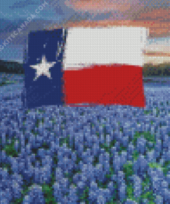 Texas Flag Bluebonnets Diamond Painting