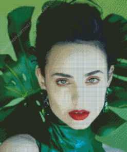 The Actress Sofia Carson Diamond Painting