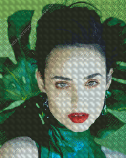 The Actress Sofia Carson Diamond Painting