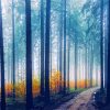 The Foggy Forest Diamond Painting