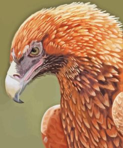 The Wedge Tailed Eagle Diamond Painting