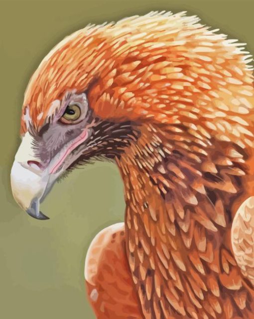 The Wedge Tailed Eagle Diamond Painting