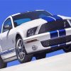 White And Blue Mustang Diamond Painting