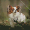 Adorable Papillon Dog Diamond Painting