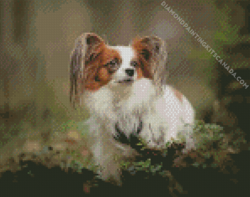 Adorable Papillon Dog Diamond Painting