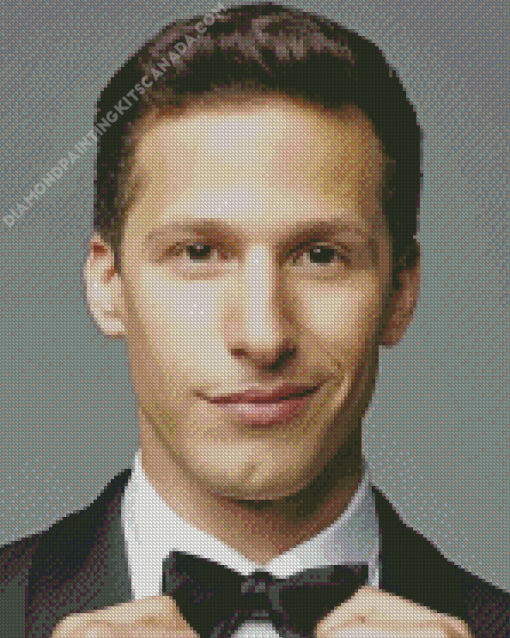 Andy Samberg Diamond Painting