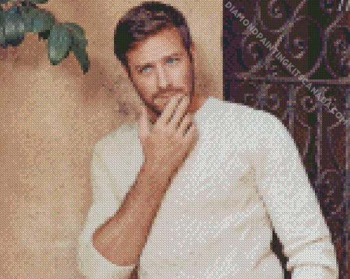 Armie Hammer Photoshoot Diamond Painting