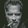 Arnold Cigar Diamond Painting