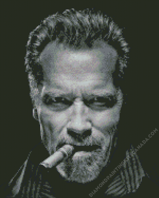 Arnold Cigar Diamond Painting