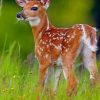 Baby White Tail Deer In The Wild Diamond Painting