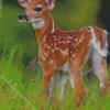 Baby White Tail Deer In The Wild Diamond Painting