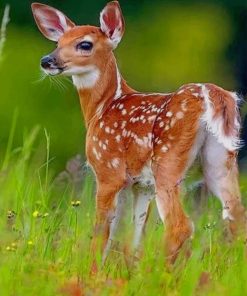 Baby White Tail Deer In The Wild Diamond Painting