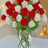 Beautiful Red White Roses Diamond Painting