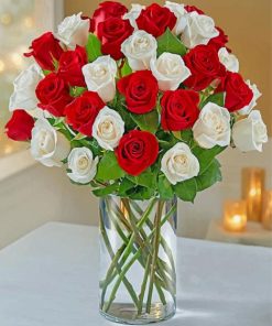 Beautiful Red White Roses Diamond Painting