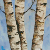 Birch Trees Diamond Painting