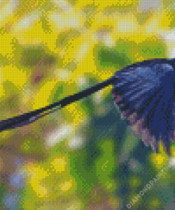 Black Ribbon Tailed Bird Diamond Painting