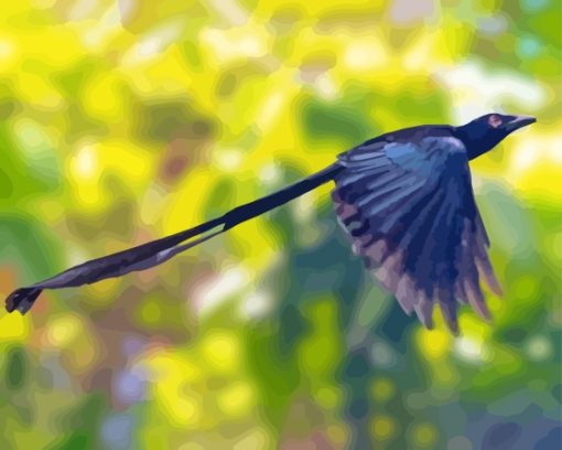 Black Ribbon Tailed Bird Diamond Painting