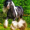 Black And White Cob Horse Diamond Painting