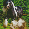 Black And White Cob Horse Diamond Painting