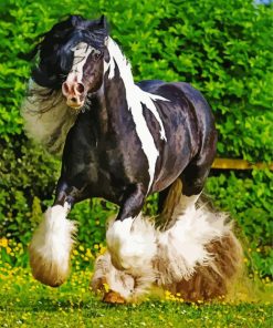 Black And White Cob Horse Diamond Painting