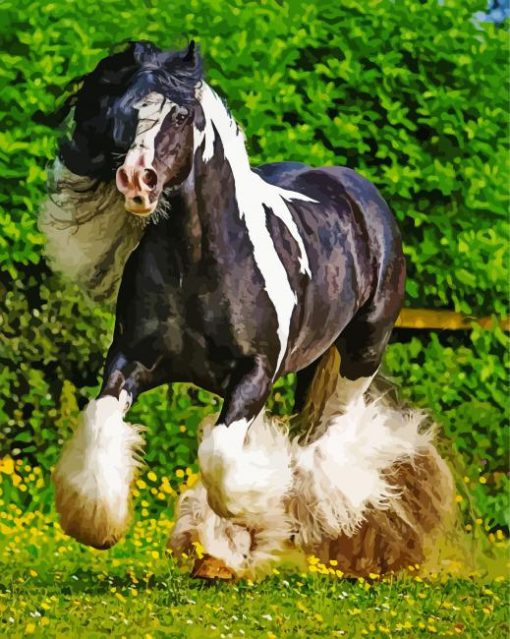 Black And White Cob Horse Diamond Painting