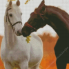 Black And White Horses Diamond Painting