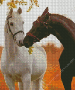Black And White Horses Diamond Painting