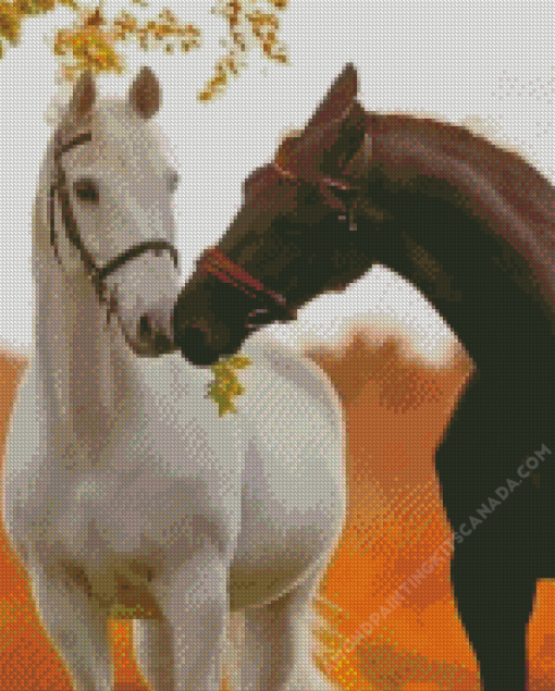 Black And White Horses Diamond Painting