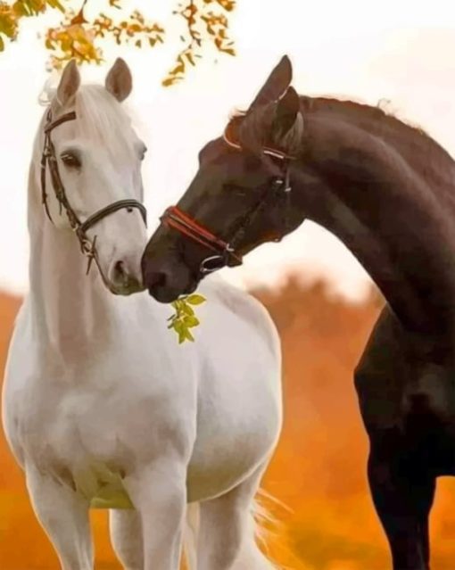 Black And White Horses Diamond Painting