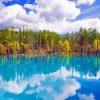 Blue Pond Hokkaido Landscape Diamond Painting