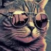 Cat With Sunglasses Diamond Painting