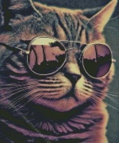 Cat With Sunglasses Diamond Painting