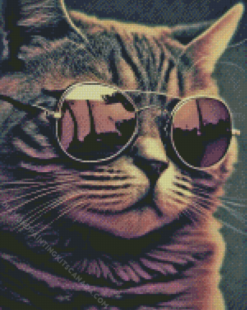 Cat With Sunglasses Diamond Painting