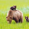 Cute Mama Bear And Cubs Diamond Painting