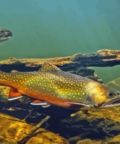 Cutthroat Trout Underwater Diamond Painting
