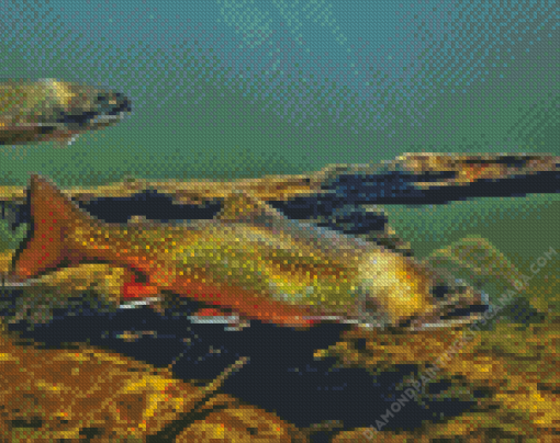 Cutthroat Trout Underwater Diamond Painting