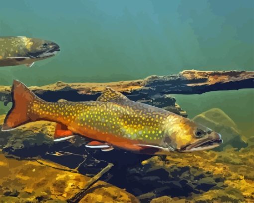 Cutthroat Trout Underwater Diamond Painting