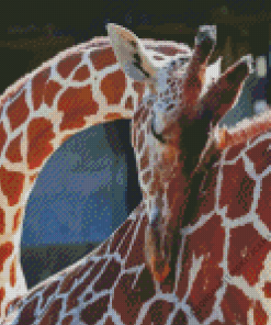 Giraffe Hug Diamond Painting