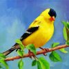 Goldfinch Bird Diamond Painting