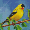 Goldfinch Bird Diamond Painting