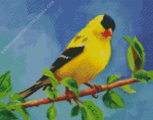 Goldfinch Bird Diamond Painting