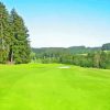 Golf Titisee Diamond Painting