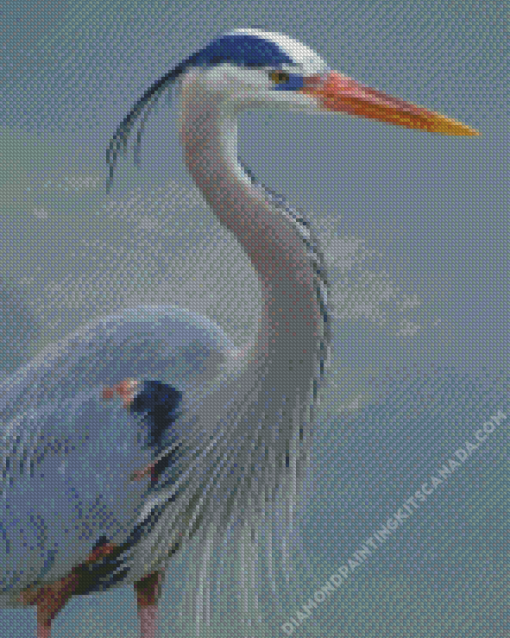 Great Blue Heron Diamond Painting