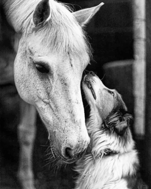 Horse And Dog Diamond Painting