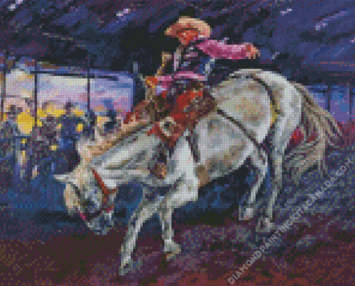 Houston Rodeo Art Diamond Painting